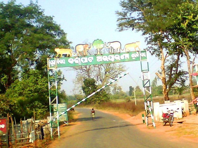 Karlapat Wildlife Sanctuary - Kalahandi tour package