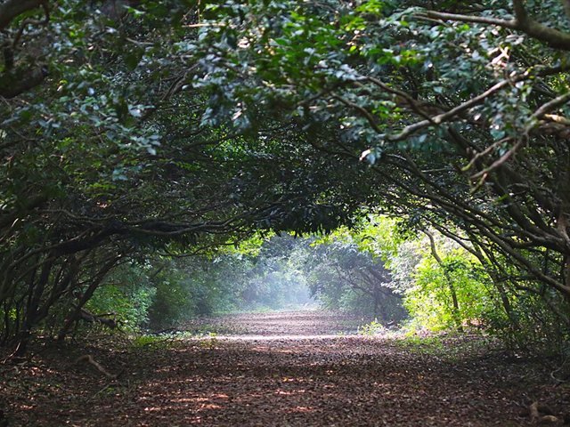 Bhitarkanika National Park - Odisha wildlife tour